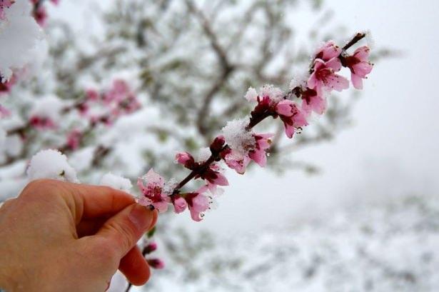 <p>ERZİNCAN</p>
