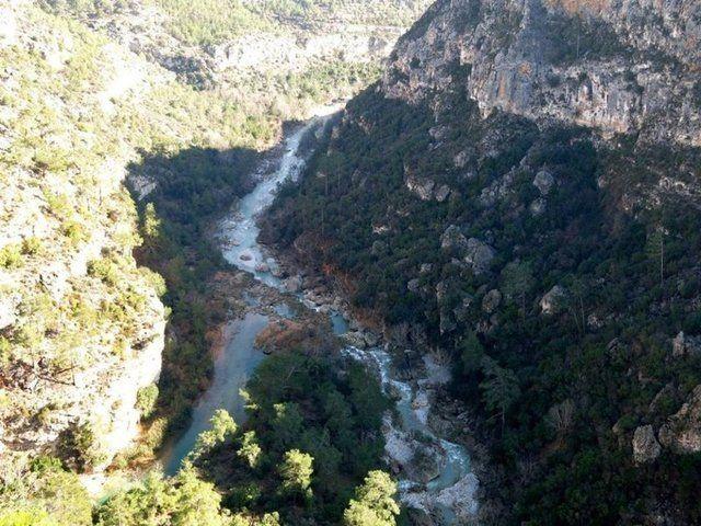 <p>Diğer yandan buraya giderseniz alageyik, karaca, dağ keçisi, yaban domuzu, tilki, porsuk, tavşan, üveyik, kartal ve doğan gibi hayvanlarla karşı karşıya kalmanız mümkün.</p>
<p> </p>