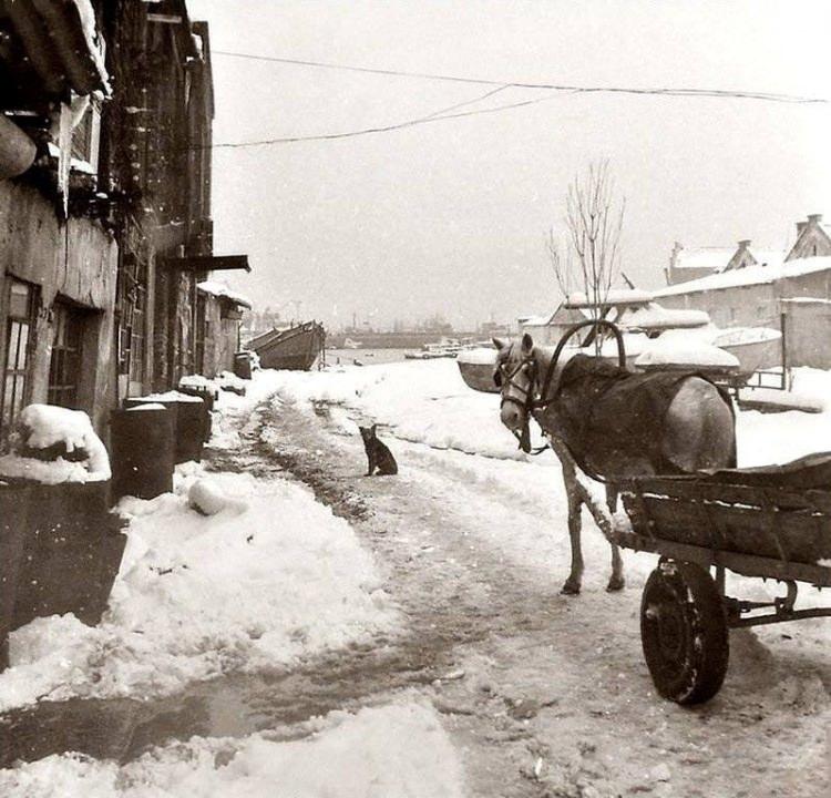 <p>Balat kıyısı. 1973 kışı.</p>
