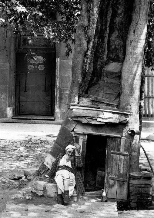 <p>Atik Ali Paşa Camii avlusundaki bir ağaç kovuğunda yaşamak (~1900. Çemberlitaş)</p>
