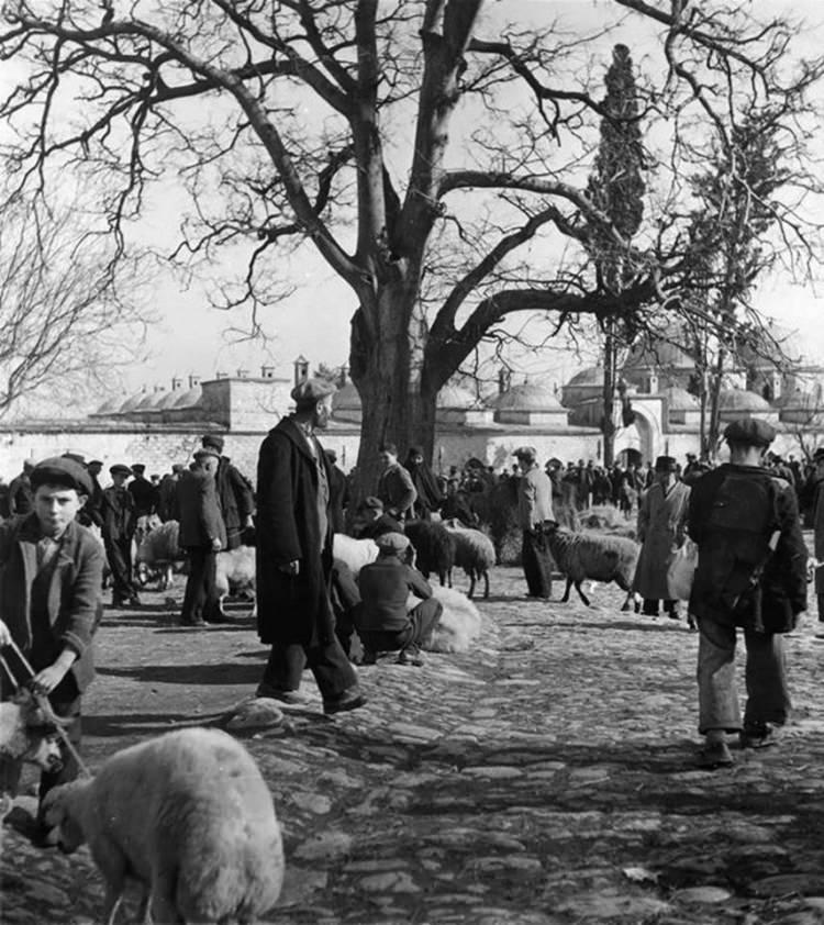 <p>Kurban Pazarı (1930'lu yıllar. Beyazıt)</p>