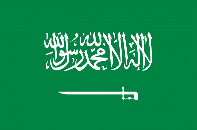 <p>17- Suudi Arabistan</p>

<p>Suudi Arabistan'dan Türkiye'ye 2010-2016 yılları arasında 1 milyar 949 milyon dolarlık yatırım geldi. 2017 Ocak-Şubat doğrudan yatırım tutarı ise sıfır.</p>
