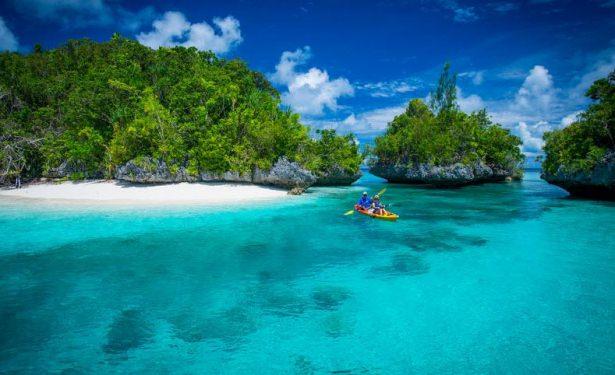 <p><strong>Palau</strong><br />
<br />
Ulusal ordusu olmamasına karşın Palau’nun sivilleri korumak amacıyla oluşturulmuş bir Ulusal Polis gücü var.</p>