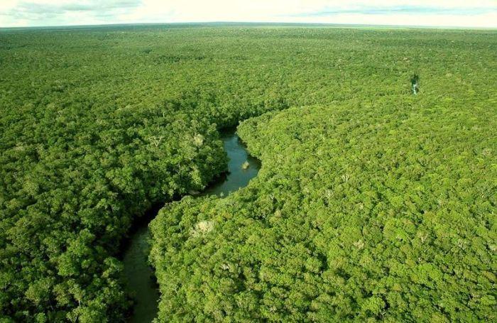 <p>Güney Amerika'da yer alan "Amazon Nehri", Afrika'daki Nil Nehri ile birlikte dünyanın en uzun nehirlerinden biridir.</p>
<p> </p>