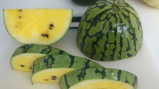 <p>Yaklaşık iki yıl süren araştırmalarda Denizli- Çardak Çaltı Köyü, Burdur- Yeşilova Akçaköy, </p>
<p> </p>