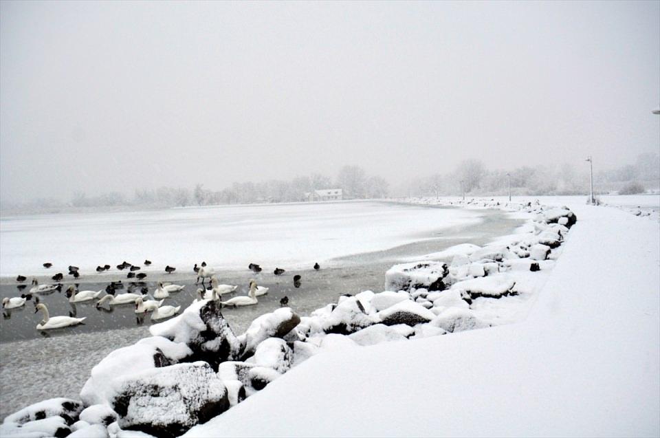 <p>592 metrekarelik yüz ölçümü ile Orta Avrupa'nın en büyük gölü konumundaki Macaristan'daki Balaton gölü soğuk havaların etkisiyle kısmen buz tuttu.</p>

<p> </p>
