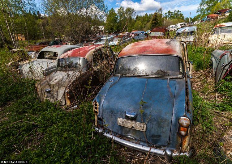 <p>İsveç’te bir ormanda bulunan hurda otomobillerin hikayesi 1940’lara dayanıyor.</p>
