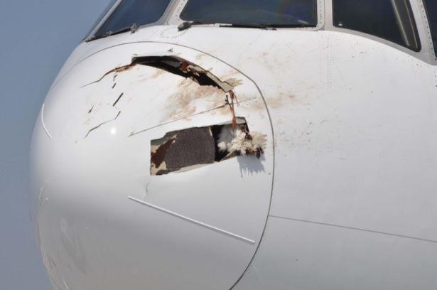 <p>Uçağın burun kısmında olan Radom adı verilen bölmeyi parçalayan kuşlar ayrıca iki motora, kuyruk ve gövdeye de büyük hasar verdi.</p>
