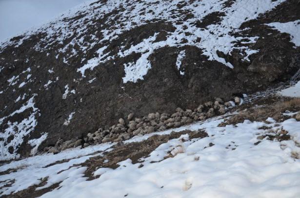 <p>Çiçek, yetkililerden yardım çağrısında bulundu.</p>