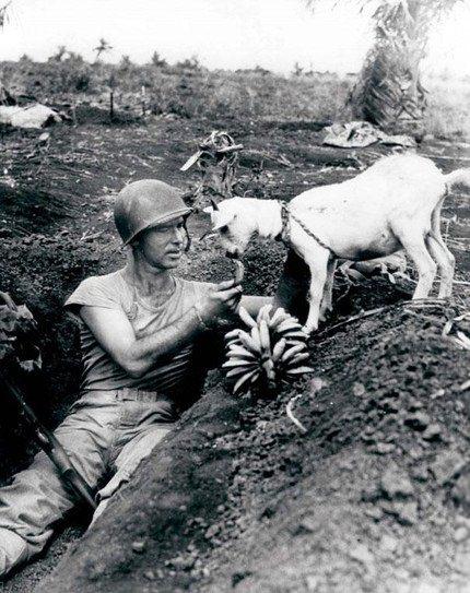 <p>Saipan savaşı sırasında muzlarını keçiyle paylaşan bir asker, 1944</p>

<p> </p>
