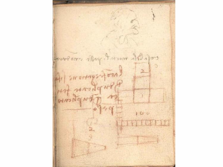 <p>Sürtünme yasalarını gösteren ilk yazılı kayıdın Leonardo Da Vinci'nin "alakasız kazıyıcılar" eserinin içinde son 500 yıldır gizlendiği anlaşıldı.</p>
