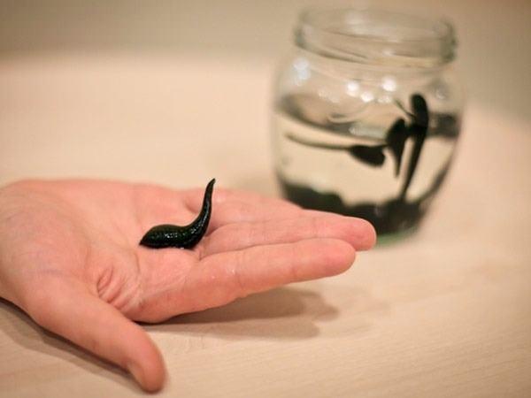 <p>Yaşını çok belli etmeyen oyuncu Demi Moore'un en büyük sırrı sülükler. Sülük tedavisiyle kanına detoks uygulayan oyuncu bu sayede genç görüneceğine inanıyor.</p>