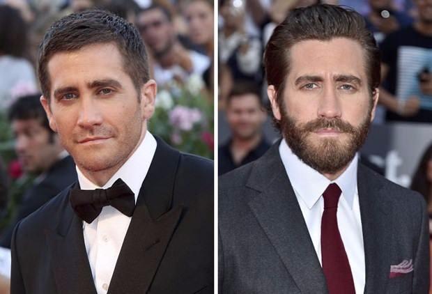 <p>Jake Gyllenhaal</p>
