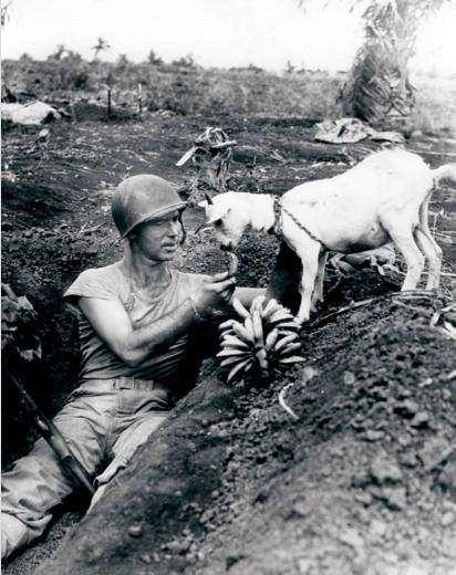 <p>Saipan Savaşı sırasında çekilmiş bir kare, 1944</p>
