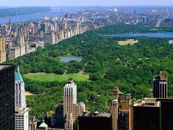 <p>Central park`ta yüzmek yasalara aykırıdır.</p>

<p> </p>
