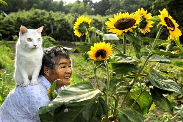 <p>Fukumaru</p>
