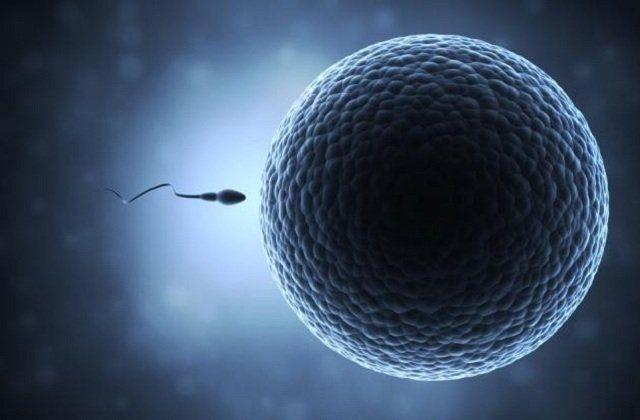 <p>Cihaz, sperm örneğini minimize edilmiş kablosuz bir ölçün aracıyla kaydediyor.</p>