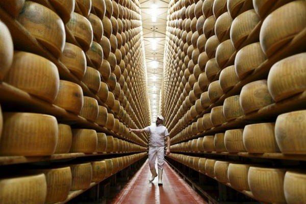 <p>İtalya'nın Montecavolo kentinde bir işçi Credito Emiliano bankasına ait bir depoda tekerlek şeklinde parmesan peynirlerini saklıyor.</p>
<p> </p>