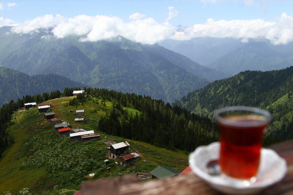 <p>Oya Doğaner de yeşilin her tonu, her renkte çiçeği, ladin ağaçları, bol oksijeni, insanlarının sıcakkanlılığı gibi kelimelerle anlatılmayacak güzellikleri Rize'de yaşama imkanı buldukları için çok mutlu olduğunu söyledi.</p>

<p> </p>
