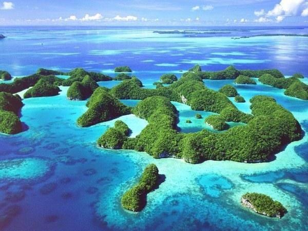 <p><strong>Palau</strong><br />
<br />
Birçok polis gücü gibi, Palau Ulusal Spolisi de ülke içinde barışı korumak ve herhangi bir huzursuzluk durumunda müdahale etmekle sorumlu.</p>