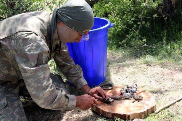 <p>Komandoların dağdaki yaşamının canlandırıldığı bölümde ise araziden yakalanan yılan ve kurbağalar, komandolar tarafından pişirilerek yendi.</p>

<p> </p>
