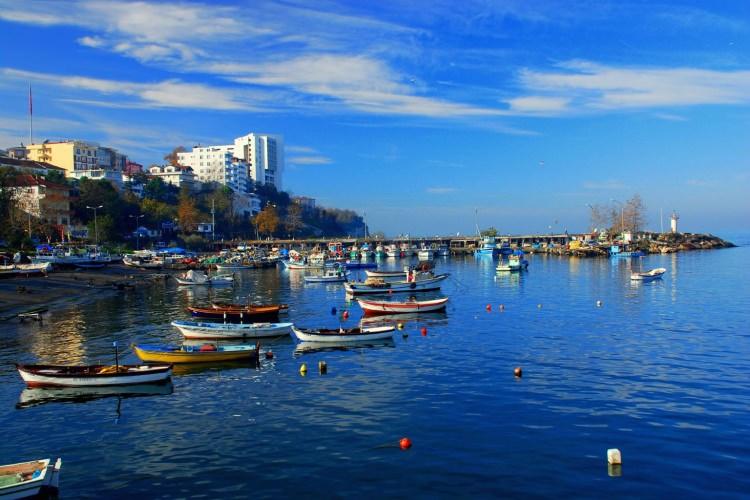 <p><strong>DÜZCE</strong></p>

<p>Yüzde 15 - yüzde 20</p>
