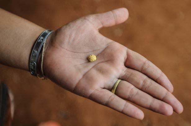 <p>Maden ocağında Taylandlı altın iş&ccedil;ileri zor altında &ccedil;alışıyor. İş&ccedil;iler &ccedil;ıkarmış oldukları altının gramı i&ccedil;in 31 Dolar kazanıyor.</p>
