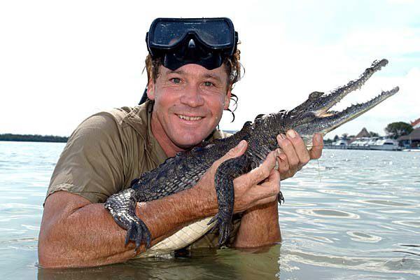 <p>Televizyonlarda The Crocodile Hunter adlı programla tanınmıştır. Ne yazık ki kendisi 2006 yılında 44 yaşında iken, denizin altında incelediği vatozun bir tanesinin iğnesini kalbine batırmasıyla ölmüştür.</p>
