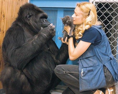 <p>Francine'le 40 yıldan fazla süredir birlikte yaşıyorlar, birlikte film izlemeye ve sohbet etmeye bayılıyorlar.</p>