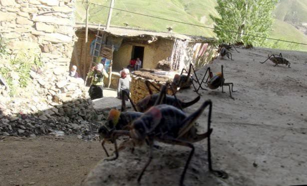 <p>VAN’ın Bahçesaray İlçesi’nin Güneyyamaç ve Kaşıkçılar Mahallelerini dev çekirgeler istila etti. </p>