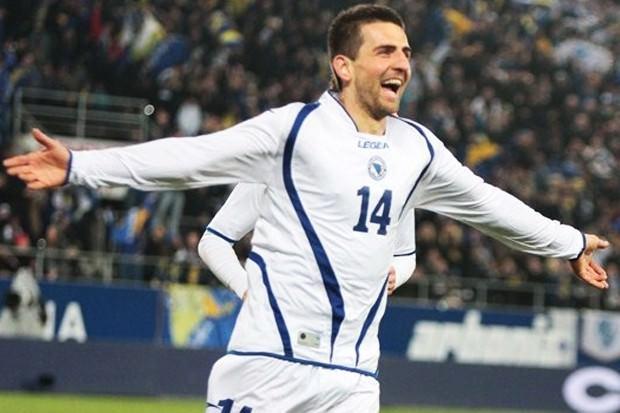 Vedad Ibišević - Bosna Hersek