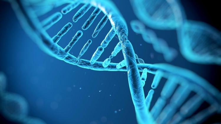 <p>Tek bir hücrede 6 milyar DNA bulunur</p>

<p> </p>
