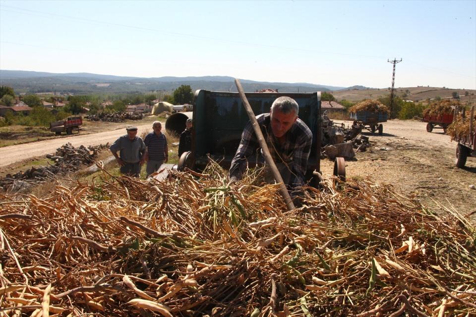 <p>Kurutulan fasulyelerin bir kısmı satış için poşetlere konuluyor, bir bölümü de üreticilerin kışlık besin ihtiyacını karşılamak için ayrılıyor.</p>

<p> </p>
