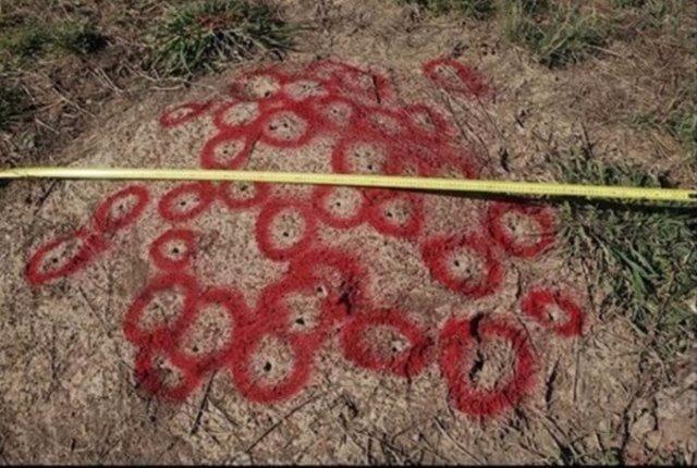 <p>Avustralya'ya ait bir tür olan et yiyen karınca yuvasına 200 kilogramdan fazla alüminyum döken sanatçılar, devasa kütleyi kaldırmak için vinç yapmak zorunda kaldı. Deneyin sonunda, ortaya karıncaların oluşturduğu sanat eserlerine benzeyen koloni çıktı.</p>

<p> </p>

<ul>
</ul>

<ul>
</ul>
