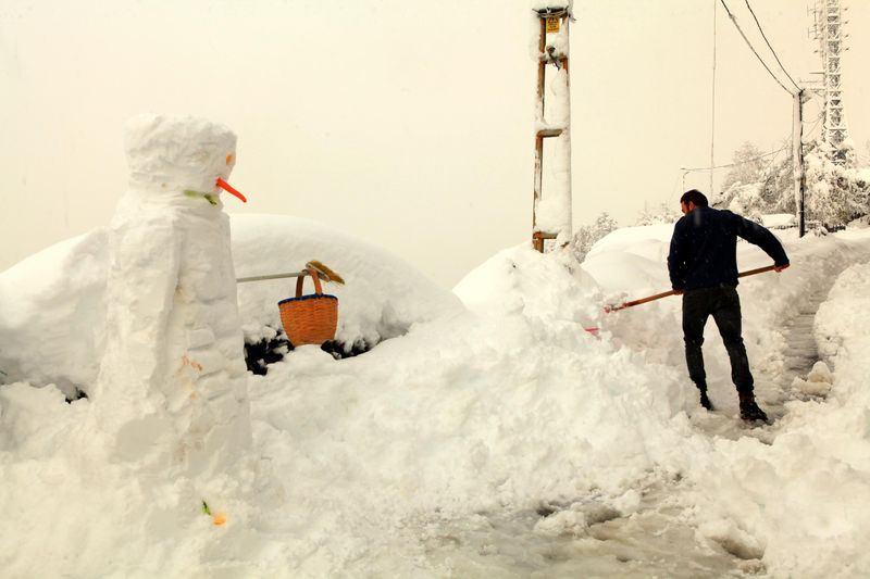 <p>ARTVİN</p>
