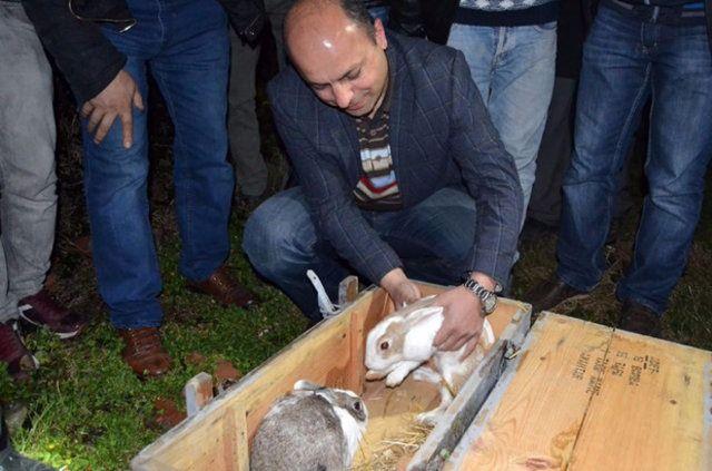 <p>Herhangi bir zarar görmeyen ve İnegöl Belediyesi Hayvan Barınağına teslim edilen tavşanların sahibinin bulunması için çalışma başlatıldı.</p>
<p> </p>