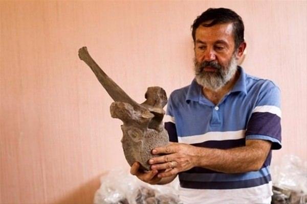 <p>Uzmanlar, kalıntıları parçalara ayrılmış halde bulunan mamutun insanlar tarafından eti ve postu için öldürülmüş olabileceğini ifade etti.</p>

<p> </p>
