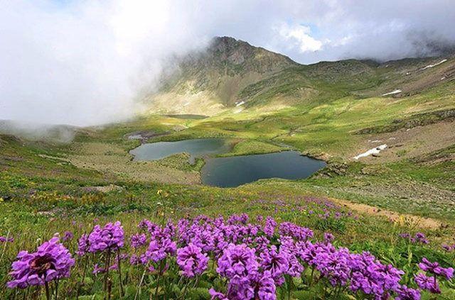 <p>Balıklı Göl </p>
<p>Rize Ambarlı Yaylası </p>