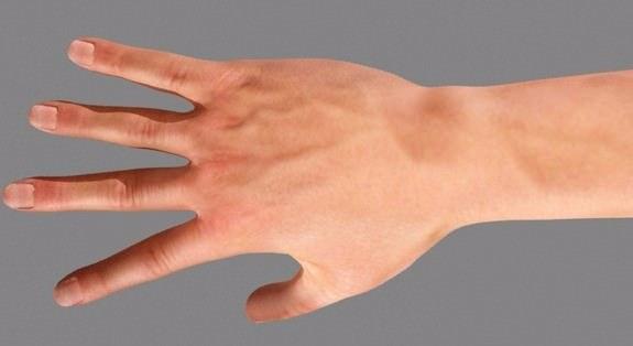 <p>İnsan elinde, en yavaş uzayan tırnak başparmağınki, en hızlı uzayan tırnak ise orta parmağınkidir.</p>
