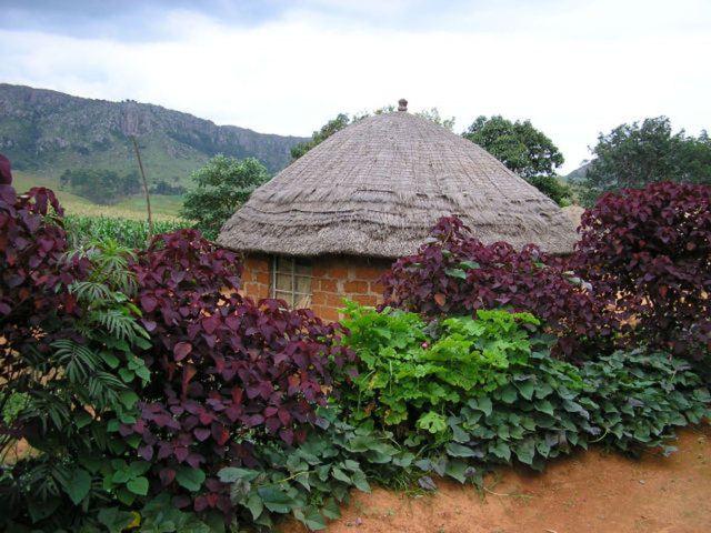 <p>Karasal Alan km²<br />
Svaziland<br />
17.204</p>
