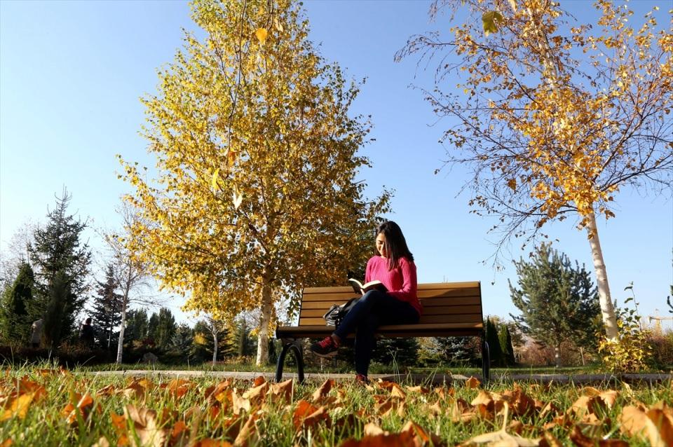 <p>Güzelliğiyle ziyaretçilerini büyüleyen park, gelin ve damatlar için doğal stüdyo olarak da kullanılıyor.</p>