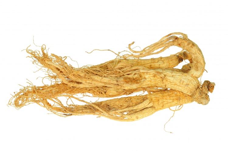 <p>Antitoksidan özelliği olan ginseng, vücutta bağışıklık sistemi hücrelerinin arttışını sağlar.</p>

<p>ABD'de yapılan araştırmada, ginseng, kullanımının grip oranını yüzde 31 azaltır. </p>
