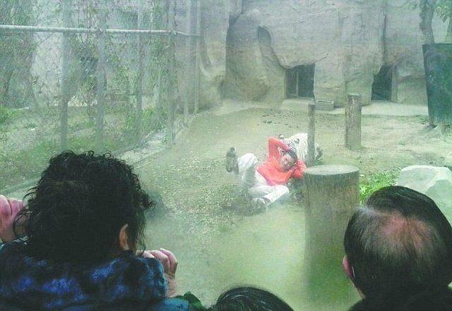 <p>Hayvanat bahçesindeki ziyaretçiler tarafından görüntülenen olayda Jinhai'nin kafese atladıktan sonra kaplanların saldırısına uğradı.</p>
<p> </p>