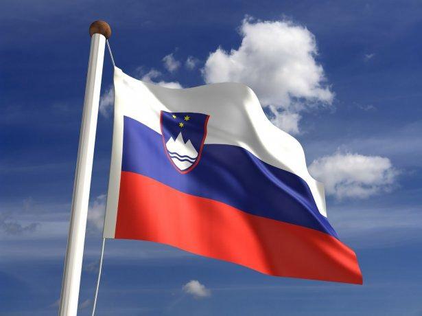 <p><strong>Slovenya</strong><br />
<br />
560 Türk yaşıyor.</p>

