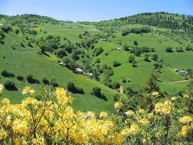 <p>İl: Yalova<br />
İlçe: Merkez<br />
Nüfus: 107.928</p>

<p> </p>
