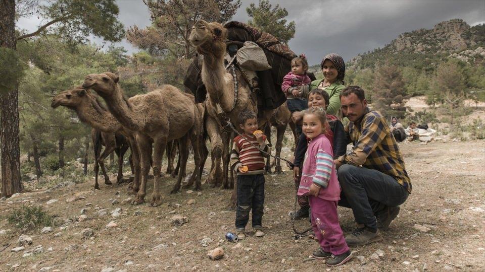 <p><strong> Develerin yerini traktör aldı</strong></p>
<p>Yörük kültüründe sona gelindiği dile getiren Gök, şöyle devam etti:</p>
<p>"Aydıncık'tan Konya'nın Hadim ilçesine gidiyoruz. Her yıl bu güzergahı geliş ve gidiş yönünde tekrarlıyoruz. Yörük kültürünü yaşatan kalmadı. Benim gibi bir kişi daha var ama onun develeri yok. Traktör aldı, yükünü onla taşıyor. Benim gibi develeriyle 12 ay dağda yaşayan yok.</p>