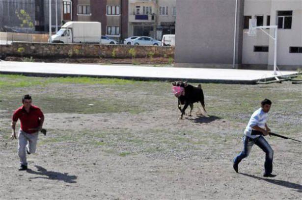 <p> Belediyeden arkadaşlar gelip bize yardımcı oldu.</p>

