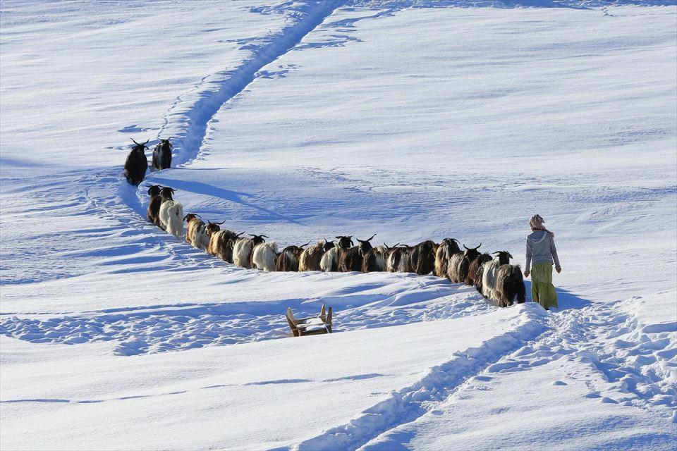 <p> 6 saatlik zorlu yolculuk sonrası köylerine ulaşan vatandaşlar yolculuk esnasında doğum yapan koyunların kuzularını kucaklarında taşıyor.</p>

<p> </p>

