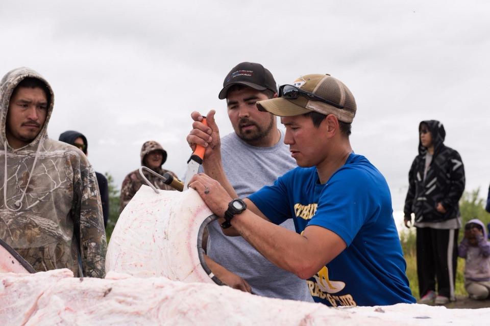 <p>Derisi y&uuml;z&uuml;lm&uuml;ş ve par&ccedil;alara ayrılmış bir halde bulununa balinanın yağı i&ccedil;in &ouml;ld&uuml;r&uuml;ld&uuml;ğ&uuml; belirtiliyor.</p>

<p>&nbsp;</p>
