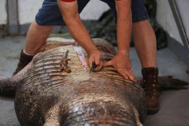 <p>Avladıkları hayvanı satan aile müthiş bir gerçekle karşı karşıya kaldı..</p>

<p> </p>
